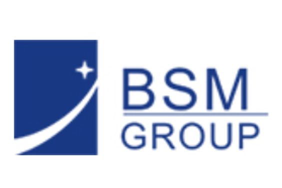 The BSM group branding and logo