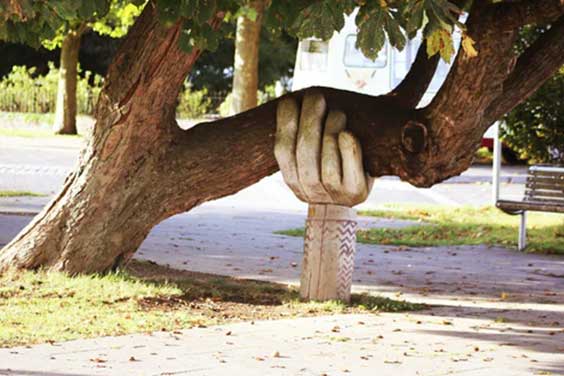 An-artistic-arm-holding-a-tree-branch