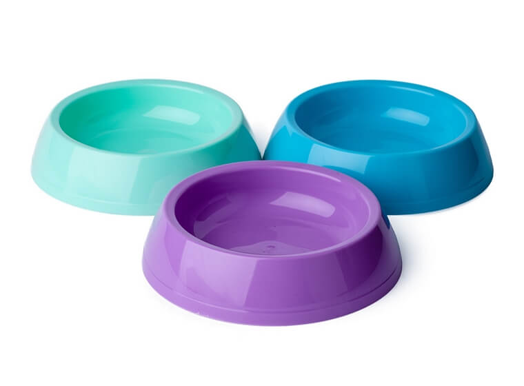 plastic pet bowl