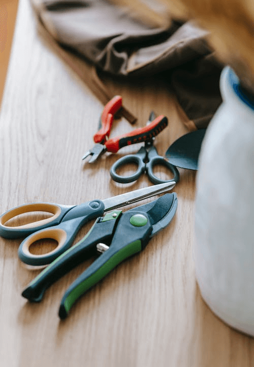 gardening cautting equipment