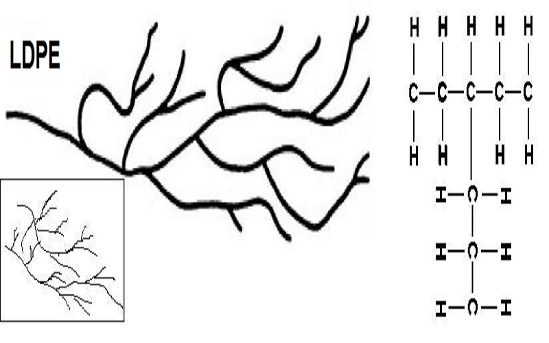 Structure of LDPE