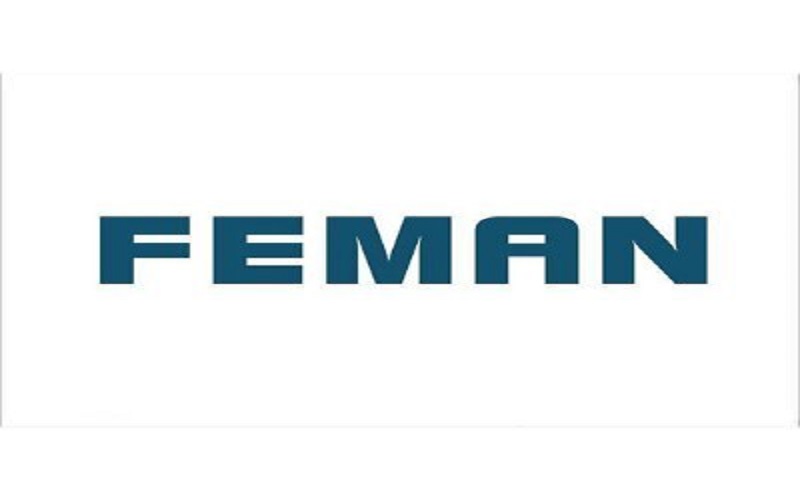 Feman Tooling logo