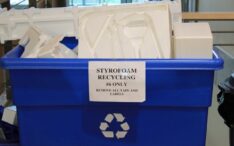 Explaining The 4 Types Of Polystyrene - FOW Mould