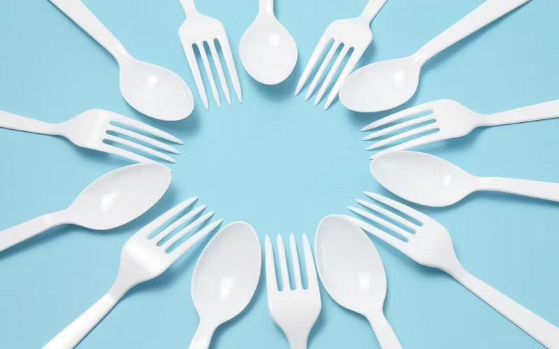 Single-Use Polystyrene Plastics Foam Packaging