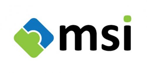 MSI Logo